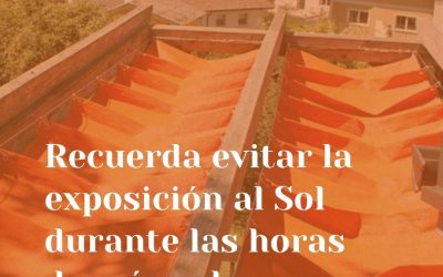 Recuerda evitar la exposición al Sol durante las horas de más calor